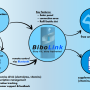 illustration_of_the_concept_of_bibolink.png